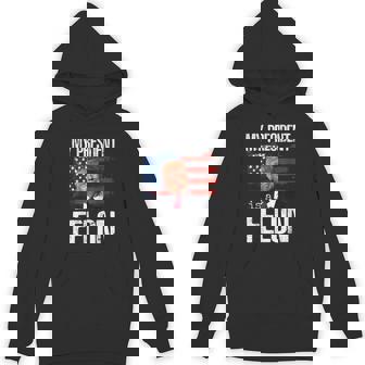 Donald Trump American Flag My President Is A Felon Hoodie | Seseable UK