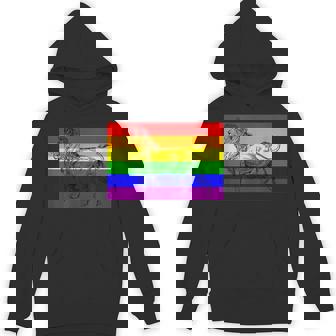 Gay Lion Pride Flag Rainbow Queer Lion Unisex Hoodie - Monsterry