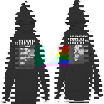 Gay Pride Mexican Flag Proud Homosexual Vintage T Shirt Unisex Hoodie - Monsterry