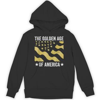 The Golden Age Of America Usa Flag Hoodie - Thegiftio UK