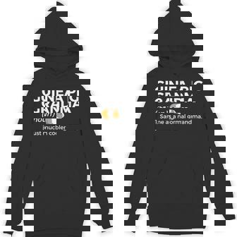 Guinea Pig Grandma Definition For Guinea Pigs Lover Unisex Hoodie - Monsterry