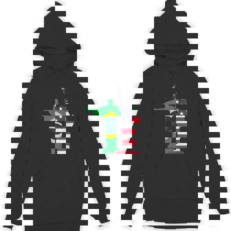 Half Brazilian Half American Usa Brazil Culture Patriot Flag Hoodie - Monsterry