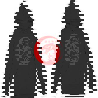Happy Chinese New Year 2025 Crescent Year Of The Snake 2025 Hoodie - Monsterry