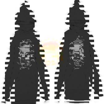 Husband And Wife Travel Partners For Life Cruising Partners Unisex Hoodie - Monsterry