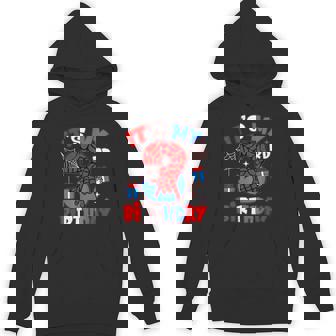 It's My 3Rd Birthday Spider Theme Party Boy Birthday Hoodie | Mazezy