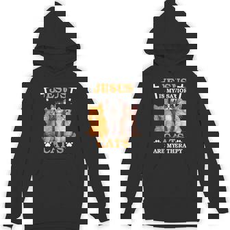 Jesus Is My Savior Cats Are My Therapy Unisex Hoodie - Monsterry