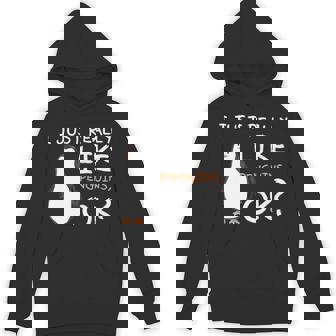 I Just Really Like Penguins Penguin Animal Lover Kids Premium Unisex Hoodie - Monsterry