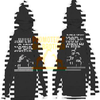 Kids Promoted To Big Brother Baby Announcement Giraffe Unisex Hoodie - Monsterry