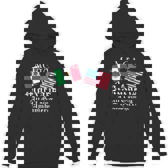 Maga Mexicans Ain’T Going Anywhere Mexican Pride Hoodie - Seseable