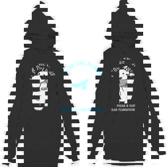 Polar Plunge Polar Bear I Took The Plunge Survivor Unisex Hoodie - Monsterry