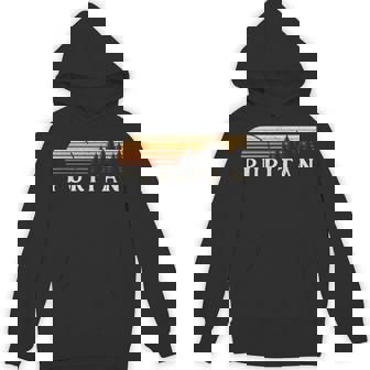 Puritan CO Vintage Evergreen Sunset Eighties Retro Unisex Hoodie - Monsterry