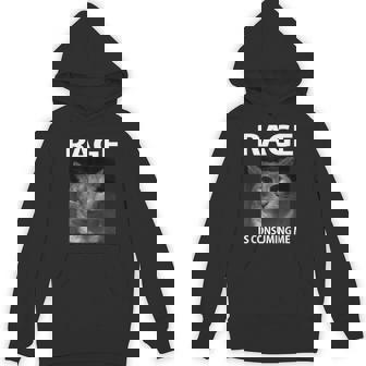Rage Is Consuming Me Silly Staring Cat Meme Hoodie - Monsterry