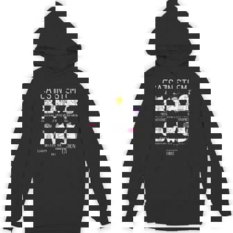 Science Meme Cats In Stem Scientist Nerd Cat Lover Unisex Hoodie - Monsterry