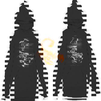 Scorpion Insect Arachnid Cool Fiery Scorpio Graphic Unisex Hoodie - Monsterry