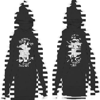 If I Shenan Once I'll Shenanigan St Patrick's Day 2025 Hoodie - Thegiftio