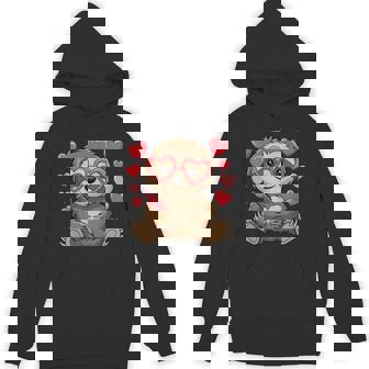 Sloth Heart Glasses Cute Valentines Day Sloth Animal Lover Unisex Hoodie - Monsterry