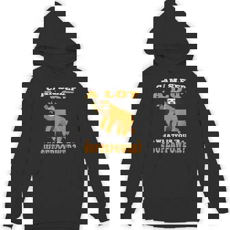 Sloth i Can Sleep a Lot Lazy Sloths Unisex Hoodie - Monsterry