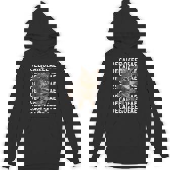 Spinning Cat Meme Oiiaoiia Cat Meme Hoodie | Mazezy