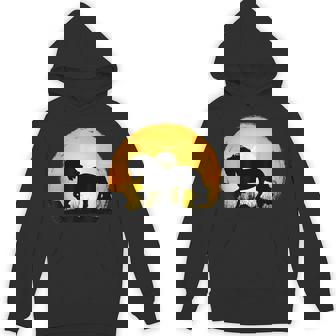 Sunset Horse Breed Silhouette Friesian Unisex Hoodie - Monsterry