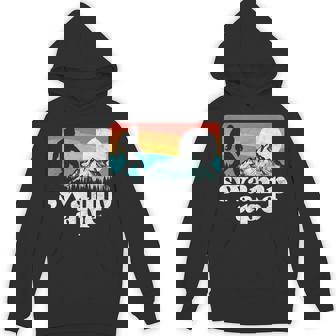Swamp Ape Florida Bigfoot Mountains Retro T-Shirt Unisex Hoodie - Monsterry