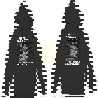 Wait I'm Goated Brainrot Cat Meme Hoodie | Mazezy
