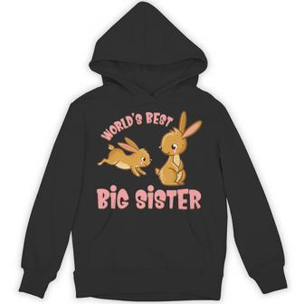 World's Best Big Sister Baby Announcement Hopping Bunnies Premium Unisex Hoodie - Monsterry