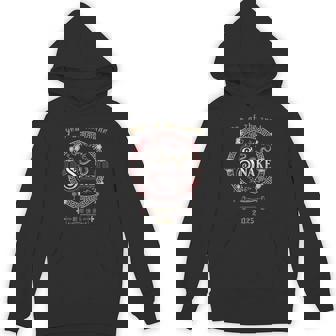 Year Of The Snake 2025 Chinese Traditional New Year 2025 Hoodie | Mazezy