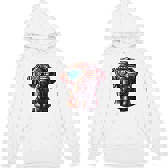 Chocolate Labrador Labs Patriotic American Flag Sunglasses Unisex Hoodie - Monsterry