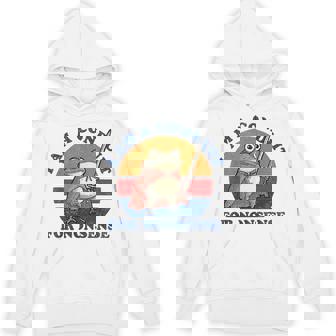 I Am A Conduit For Nonsense Sayings Frog Meme Gamer Hoodie - Seseable