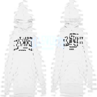 Ellsworth Michigan Mi College University Style Blue Hoodie | Mazezy