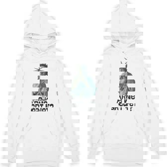 Are We Great Yet Anti Trump Politics Humor Statue Of Liberty Hoodie | Mazezy