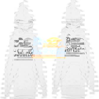 Gulf Of Mexico Since 1672 Retro Vintage Beach Hoodie | Mazezy