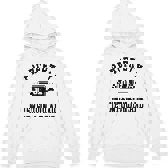 Property Of Newfoundland Newfoundland Lover Shirt Unisex Hoodie - Monsterry