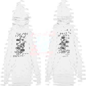 Raccoon First Of All I'm God's Masterpiece Hoodie | Mazezy