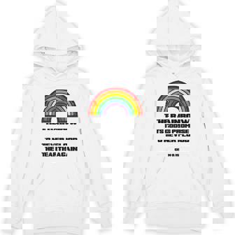 The Rainbow Its God's Promise To Never Flood The Earth Again Unisex Hoodie - Monsterry
