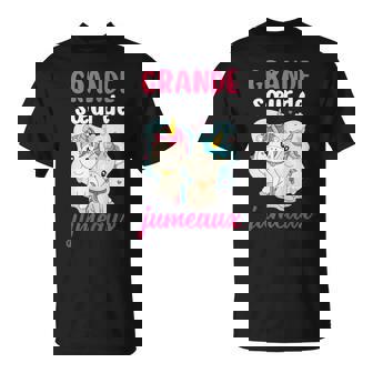 Annonce Grossesse Jumeaux Licornes Grande Sœur De Jumeaux T-Shirt - Cadeauxyz