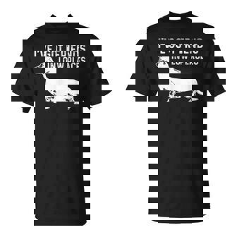 Camisa Para Perro I've Got Friends In Low Places Dachshund Camisa Camiseta unisex - Regaloses