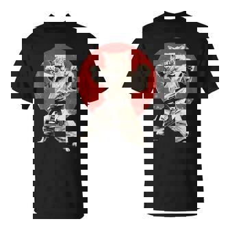 Cat Karate Judo Japan Japanese Flag Graphic T-Shirt - Seseable