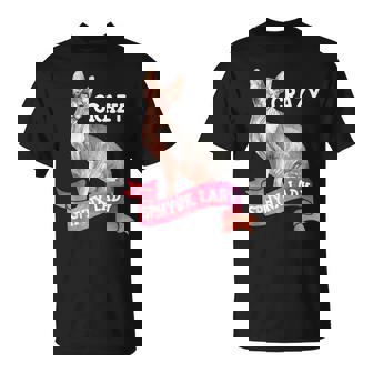 Crazy Sphynx Lady Sphinx Cat Lovers Raza Gato Gato Camiseta unisex - Regaloses