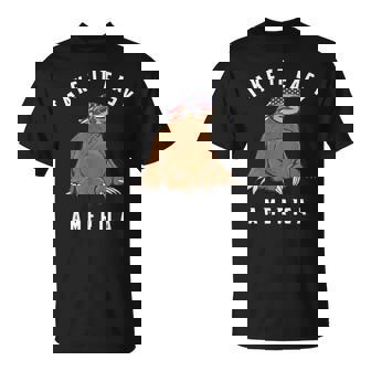 Drapeau Américain Paresseux Du 4 Juillet Take It Easy T-Shirt - Cadeauxyz