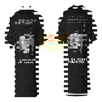 I Eat Cement Cat Japanese Meme Cat Oddly Specific Weired T-Shirt - Monsterry