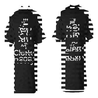 Keep Calm And Celebrate Recovery Sobriety Positive Support T-Shirt - Monsterry