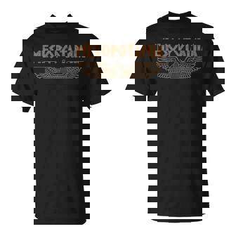 Mesopotamia Historia Antigua De Mesopotamia Camiseta unisex - Regaloses