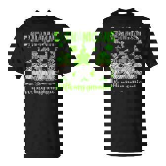 Shenanigans With My Gnomies St Patrick's Day Gnomes Women T-Shirt - Seseable