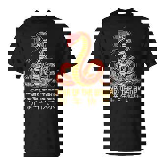 Year Of The Snake 2025 Chinese New Year 2025 Snake T-Shirt - Thegiftio
