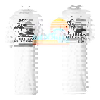 Gulf Of Mexico Est 1550 Retro Vintage Beach Gulf Of Mexico T-Shirt | Mazezy