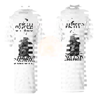Offizielles Schlaf Hund Lustig Spanischer Wasserhund T-Shirt - Geschenkecke