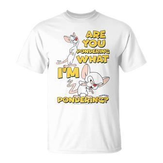 Pinky And The Brain Pondering Gray T-Shirt - Geschenkecke