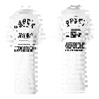 Property Of Newfoundland Newfoundland Lover Shirt T-Shirt - Monsterry