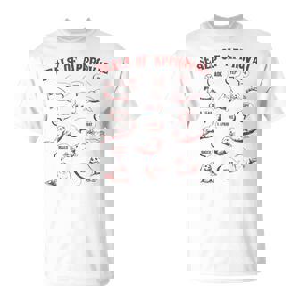 Vintage Seals Of Approval Retro Seal Meme Seal Lover T-Shirt | Mazezy